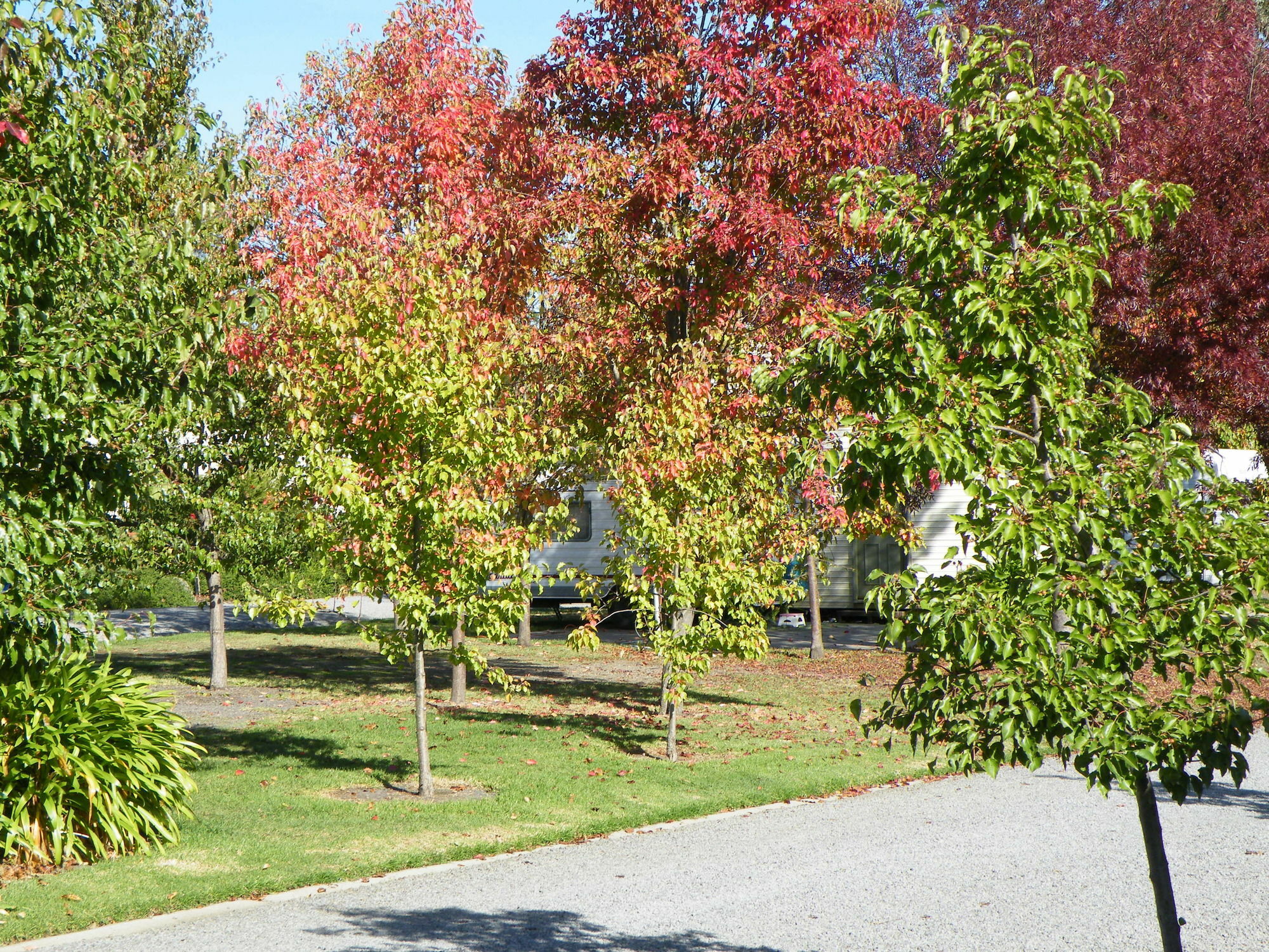 Lake Hamilton Motor Village And Caravan Park 외부 사진