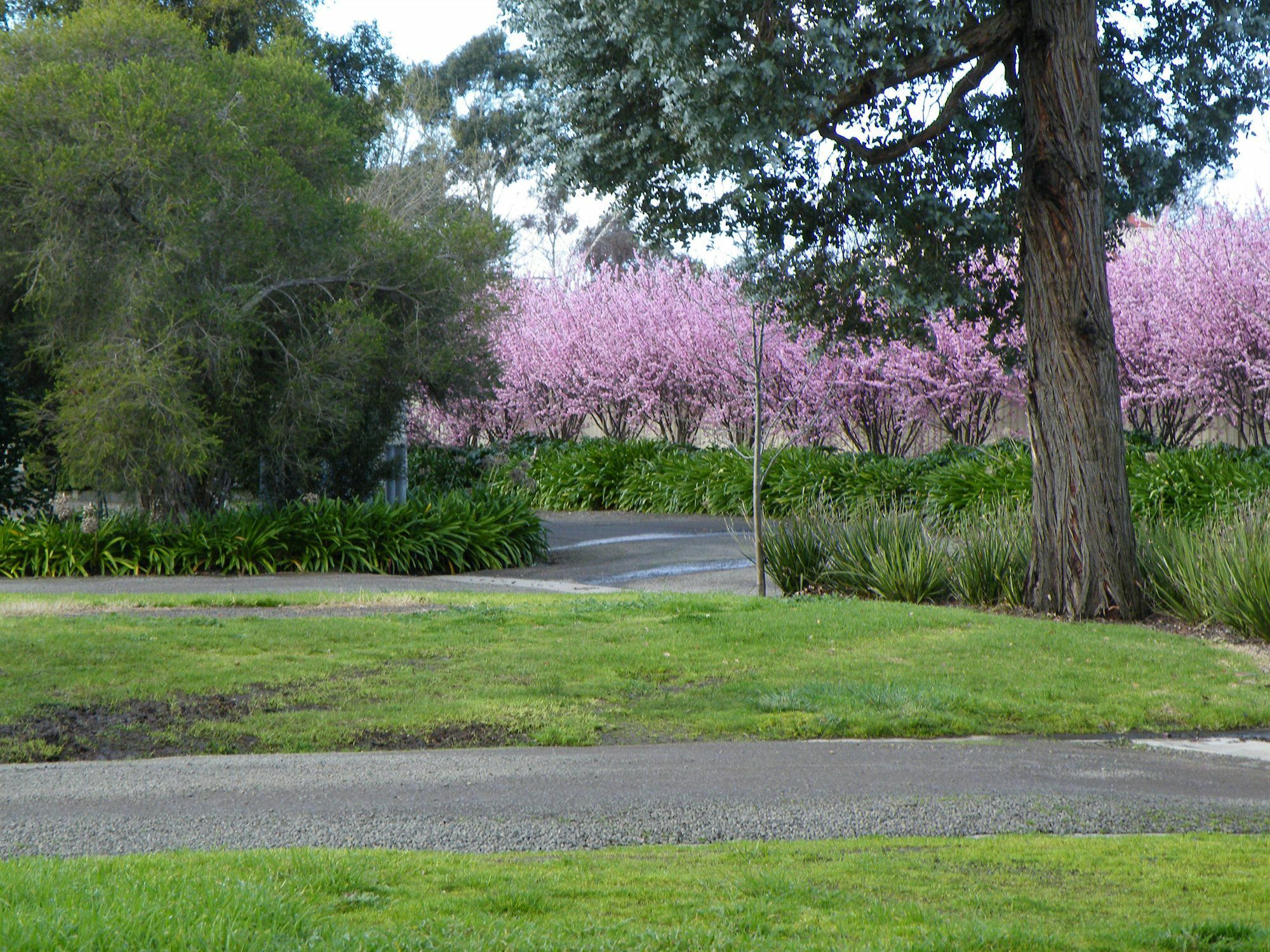 Lake Hamilton Motor Village And Caravan Park 외부 사진